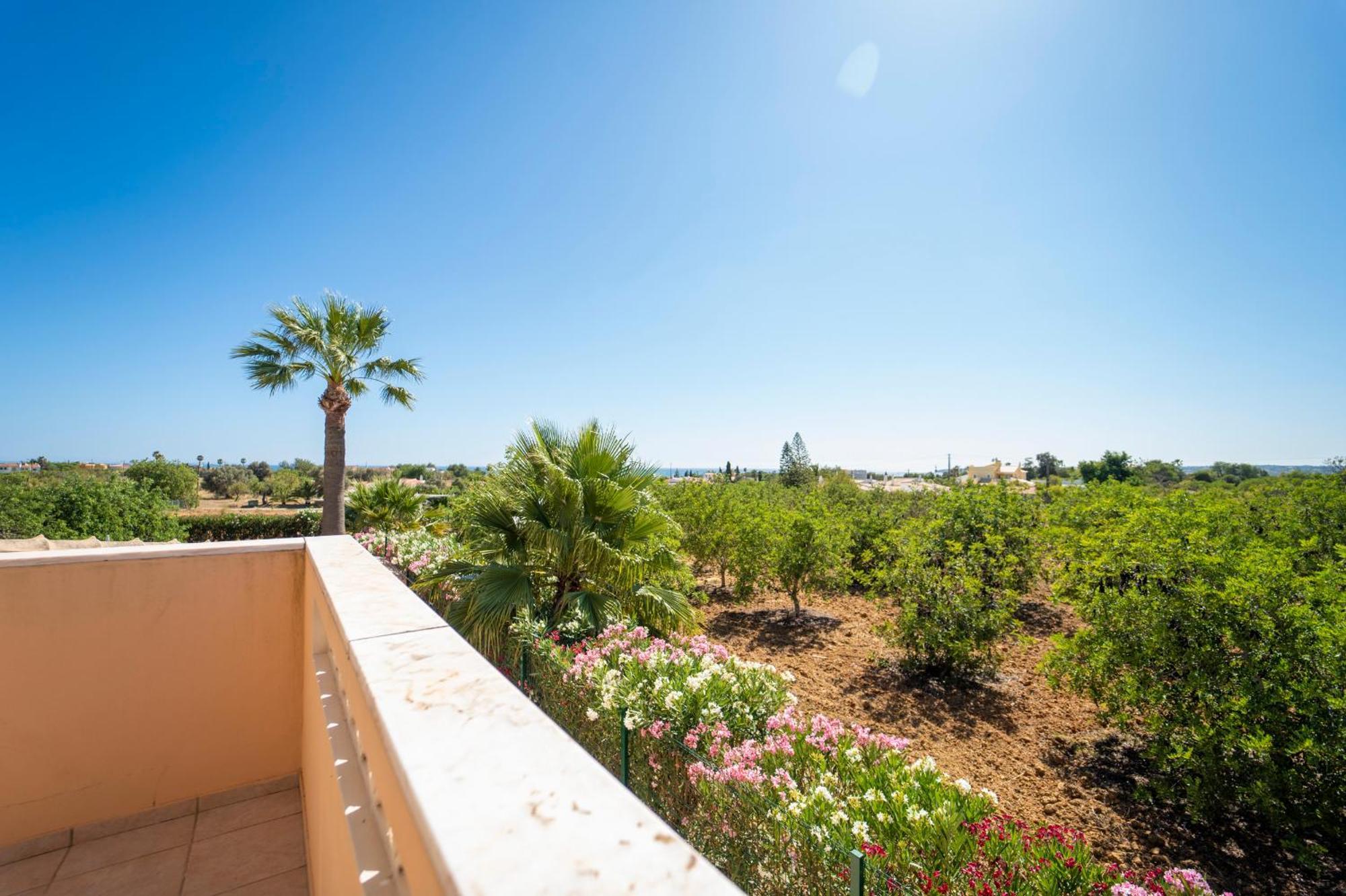 Apartamentos Monte Dos Avos, Albufeira Bagian luar foto